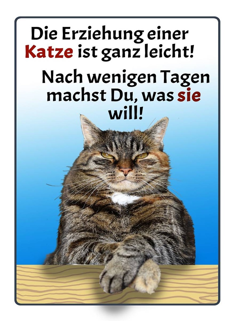 Holzschild 40x30 cm die Erziehung einer Katze leicht