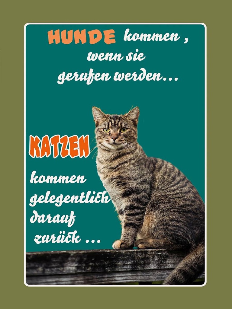 Holzschild 40x30 cm Hunde kommen wenn Katzen kommen