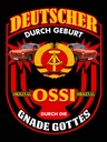 Holzschild 40x30 cm Deutscher Geburt original Ossi