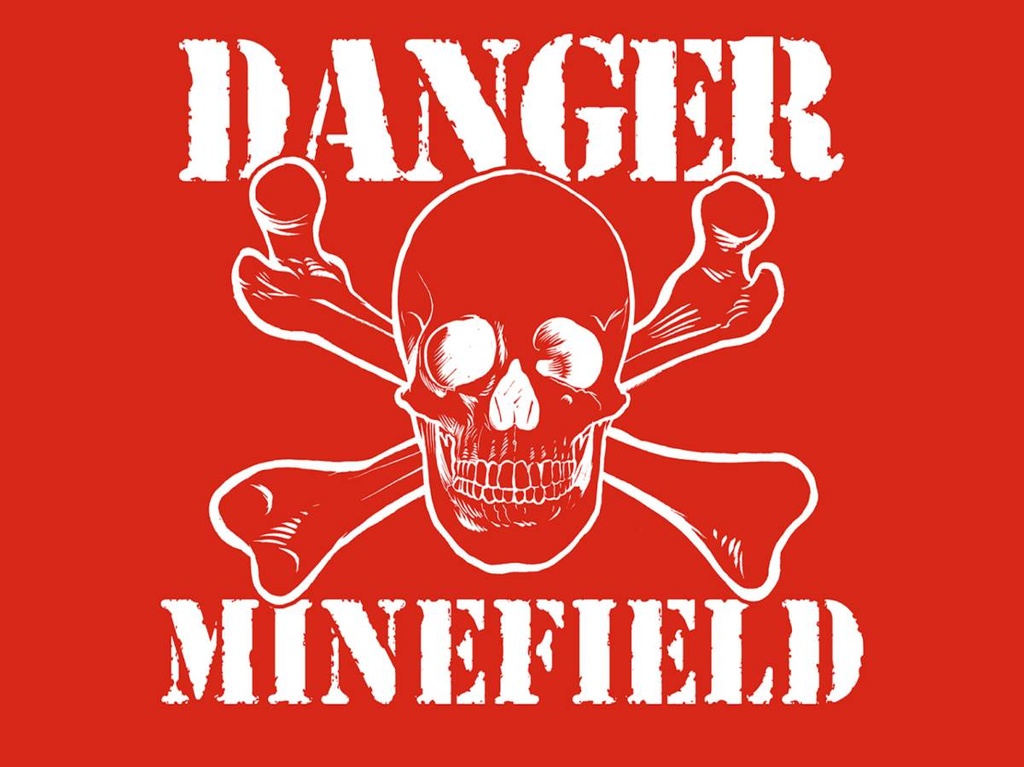 Holzschild 30x40 cm Danger Minefield Schädel