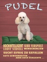Holzschild 40x30 cm Pudel hochintelligent lieb Hund