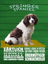 Holzschild 40x30 cm Springer Spaniel Hund zärtlich