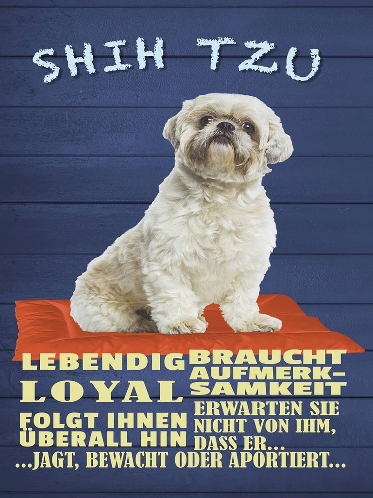 Holzschild 40x30 cm Shih Tzu Hund lebendig loyal