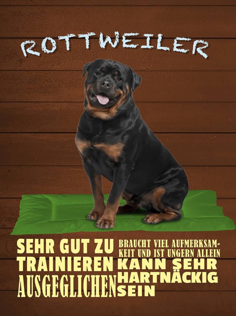 Holzschild 40x30 cm Rottweiler Hund ungern allein