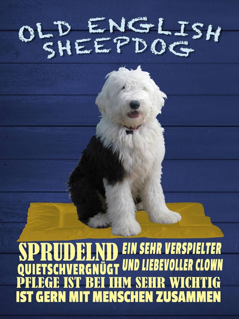 Holzschild 40x30 cm Old English Sheepdog Hund