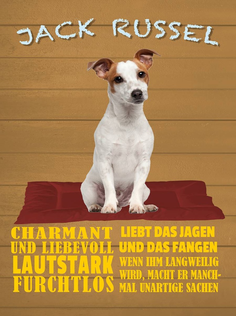 Holzschild 40x30 cm Jack Russel Hund charmant