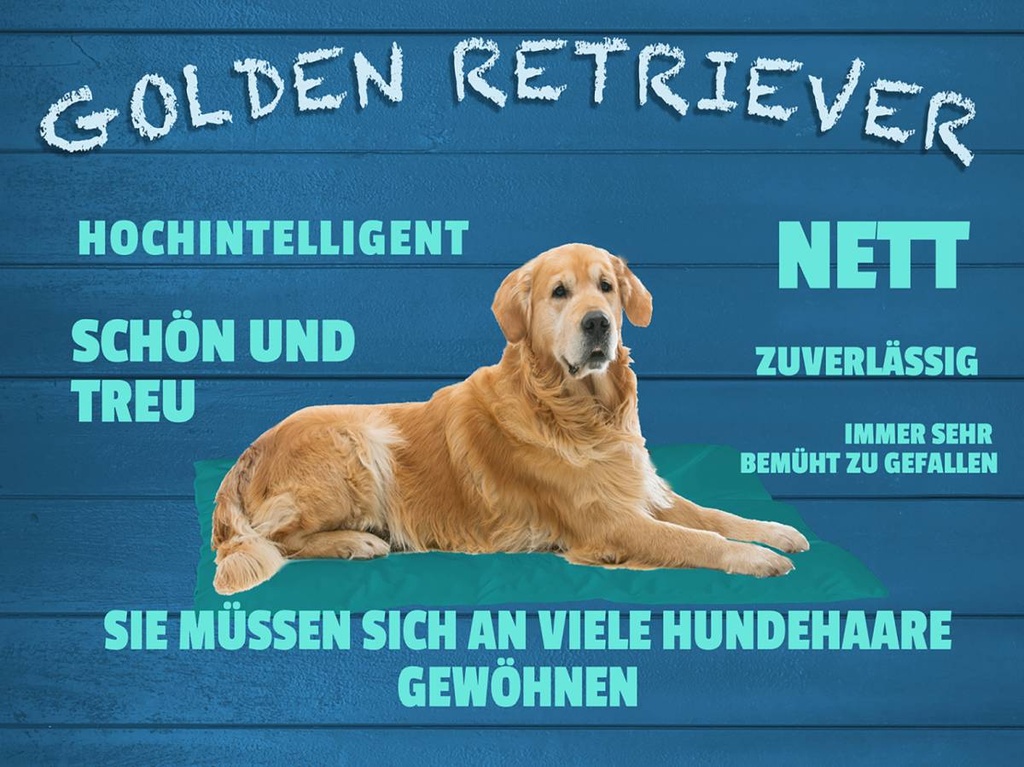Holzschild 30x40 cm Golden Retriever Hund nett treu
