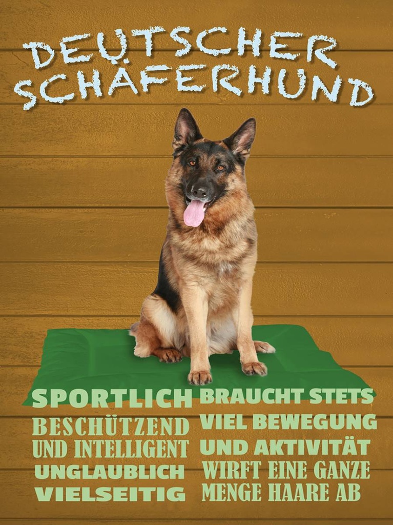 Holzschild 40x30 cm Deutscher Schäferhund Hund