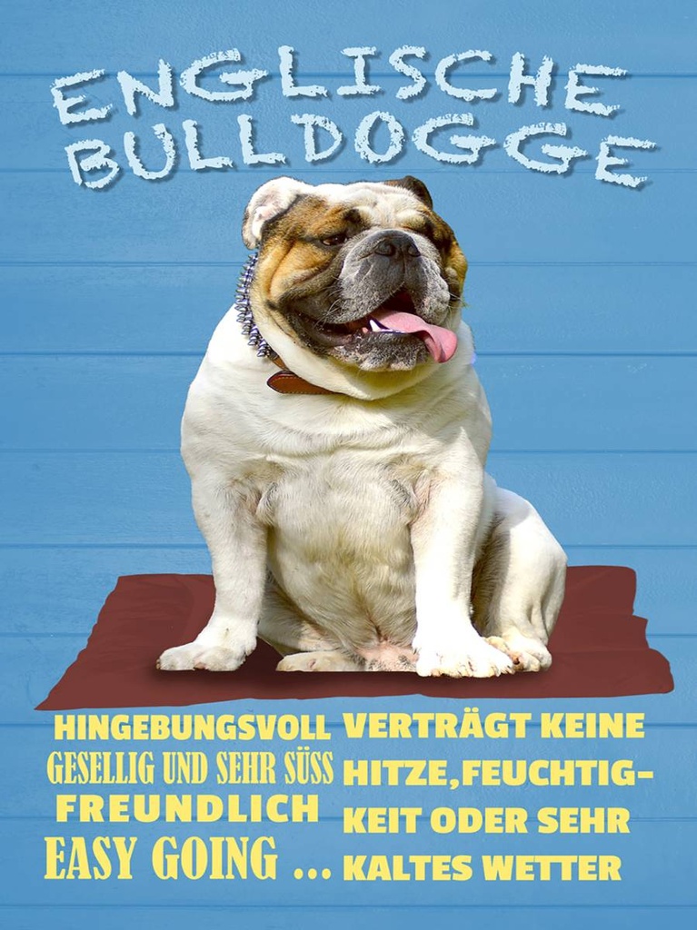 Holzschild 40x30 cm Englische Bulldogge Hund süss
