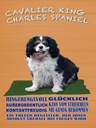 Holzschild 40x30 cm Cavalier King Charles Spaniel