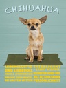 Holzschild 40x30 cm Chihuahua Hund lebenslustig