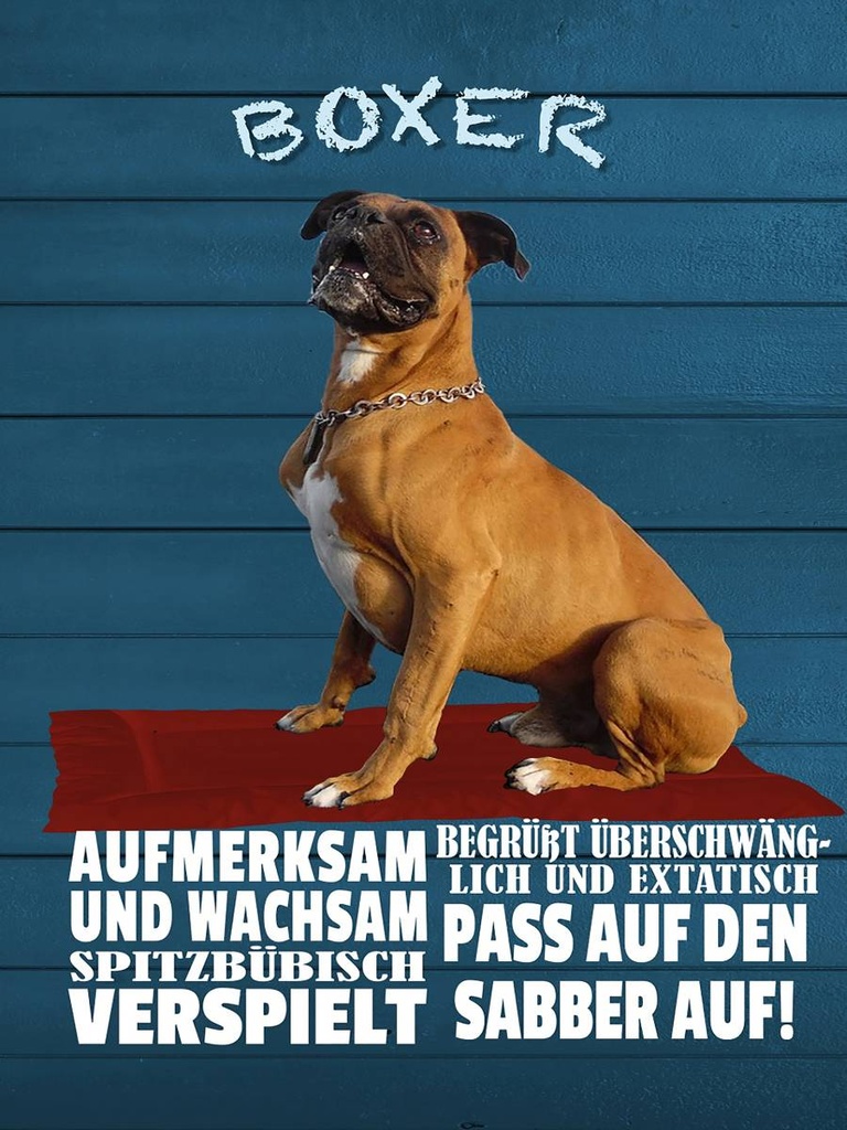 Holzschild 40x30 cm Boxer Hund aufmerksam wachsam