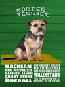 Holzschild 40x30 cm Border Terrier Hund wachsam