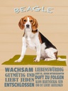 Holzschild 40x30 cm Beagle Hund gutmütig liebt jeden