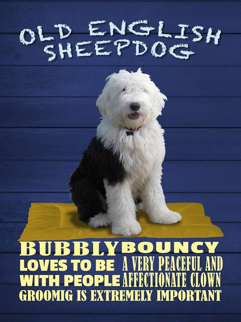 Holzschild 40x30 cm Old English Sheepdog Hund bubbly