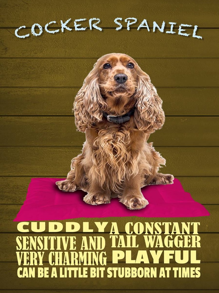 Holzschild 40x30 cm Cocker Spaniel Hund cuddly