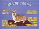 Holzschild 30x40 cm Welsh Corgi Hund bold playful
