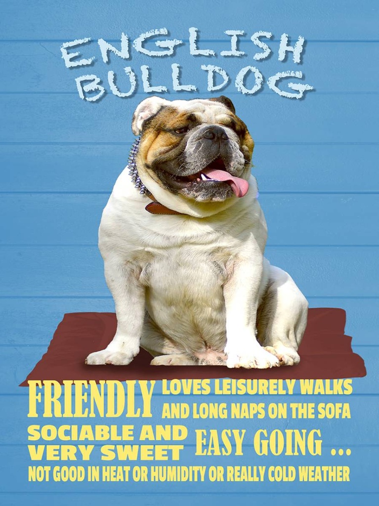 Holzschild 40x30 cm English Bulldog Hund friendly