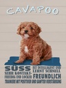 Holzschild 40x30 cm Cavapoo Hund süss freundlich