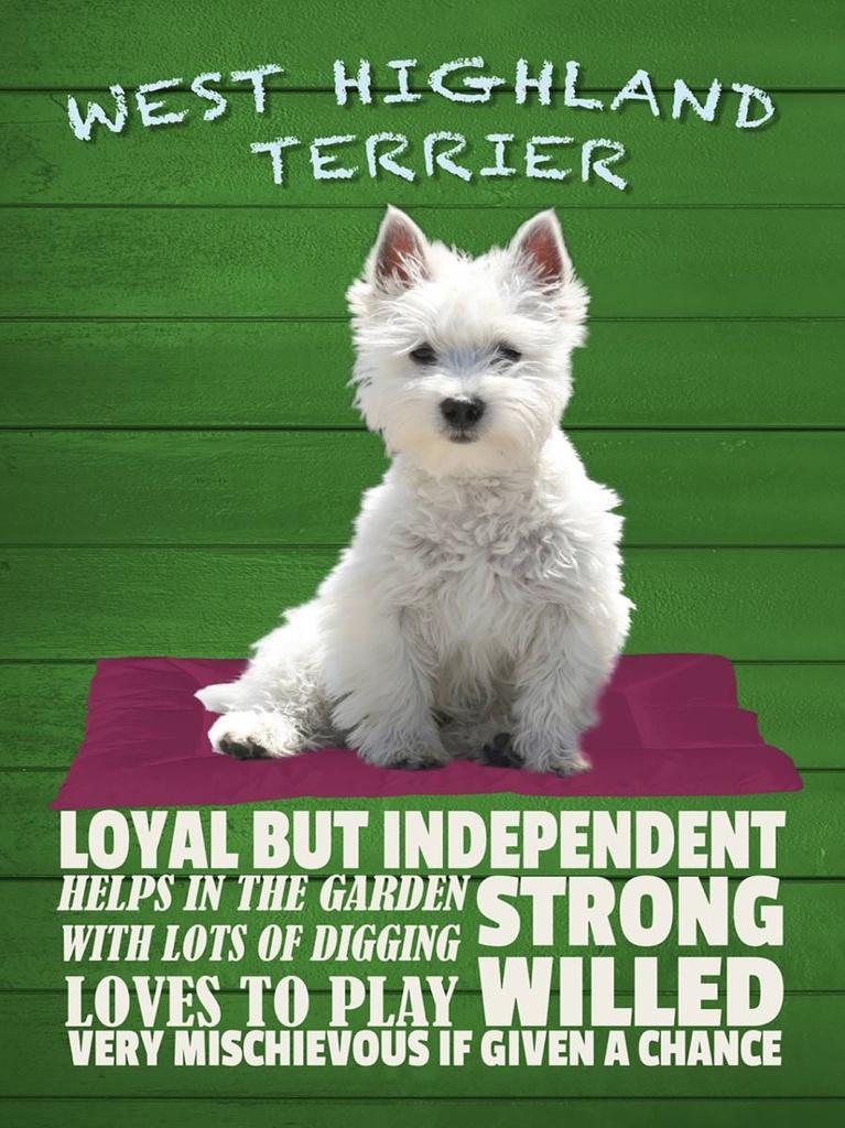 Holzschild 40x30 cm West Highland Terrier Hund loyal