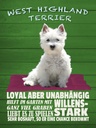 Holzschild 40x30 cm West Highland Terrier Hund stark