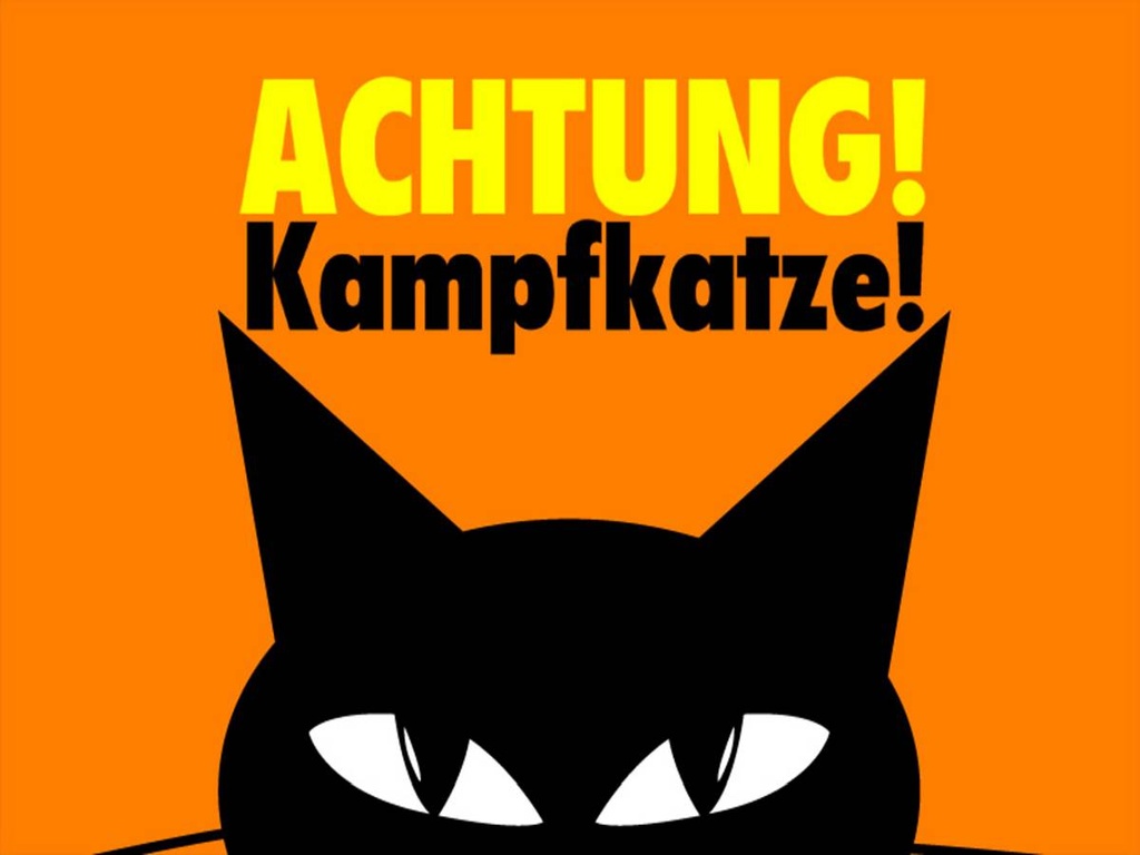 Holzschild 30x40 cm Achtung Kampfkatze Katze
