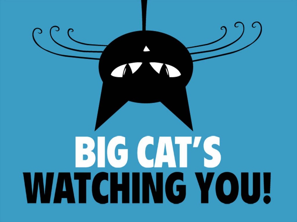 Holzschild 30x40 cm Big cat`s watching you Katze