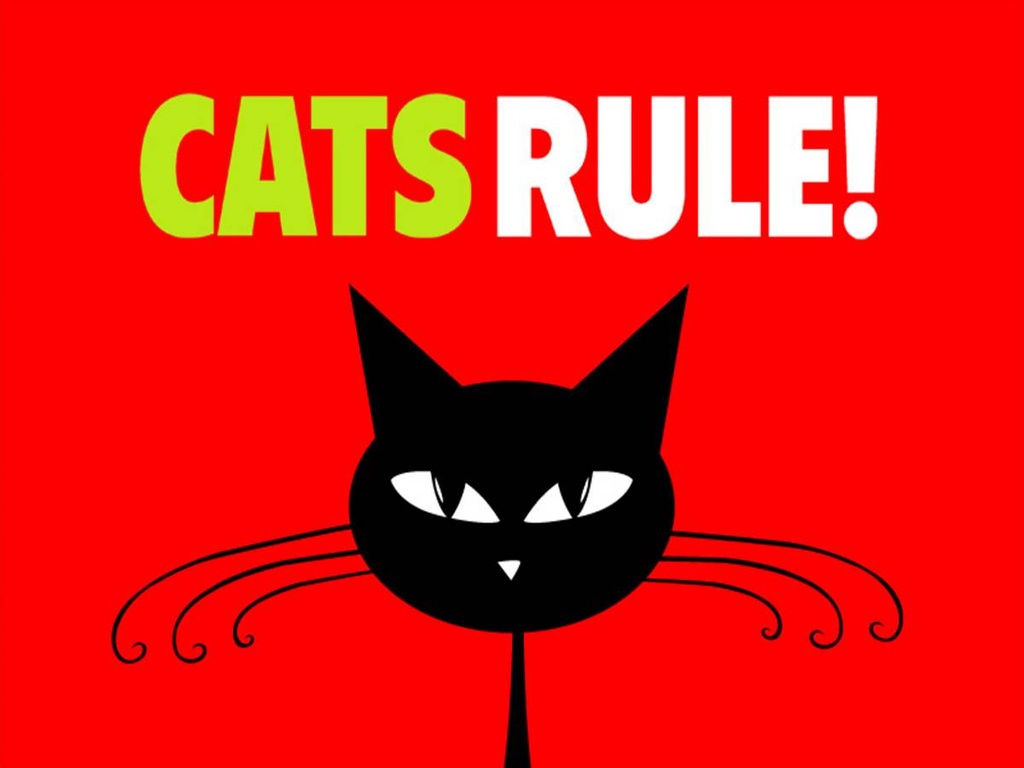 Holzschild 30x40 cm cats rule Katze