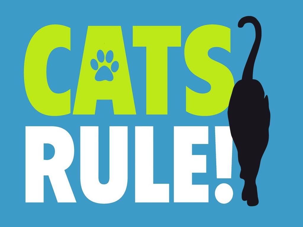 Holzschild 30x40 cm cats rule Katze