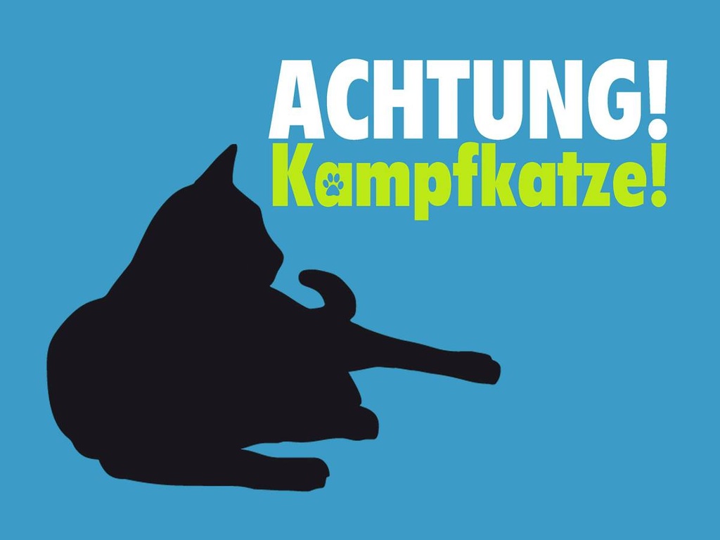 Holzschild 30x40 cm Achtung Kampfkatze Katze blau