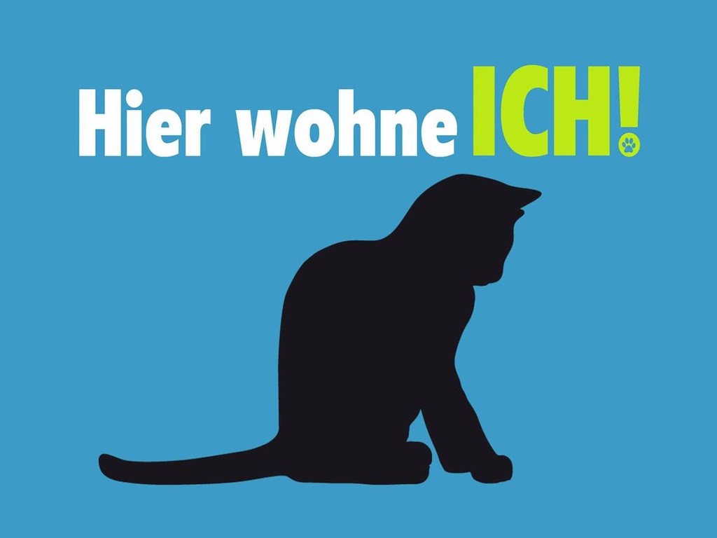 Holzschild 30x40 cm Katze hier wohne ich blau