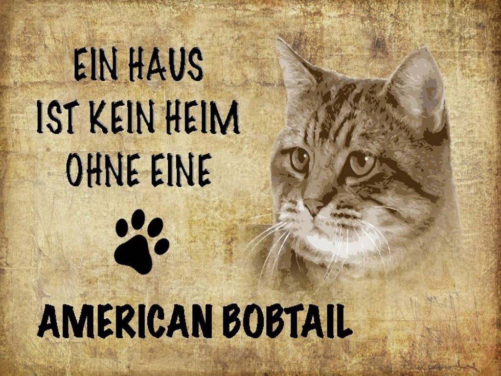 Holzschild 30x40 cm American Bobtail ohne kein Heim