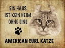 Holzschild 30x40 cm American Curl Katze