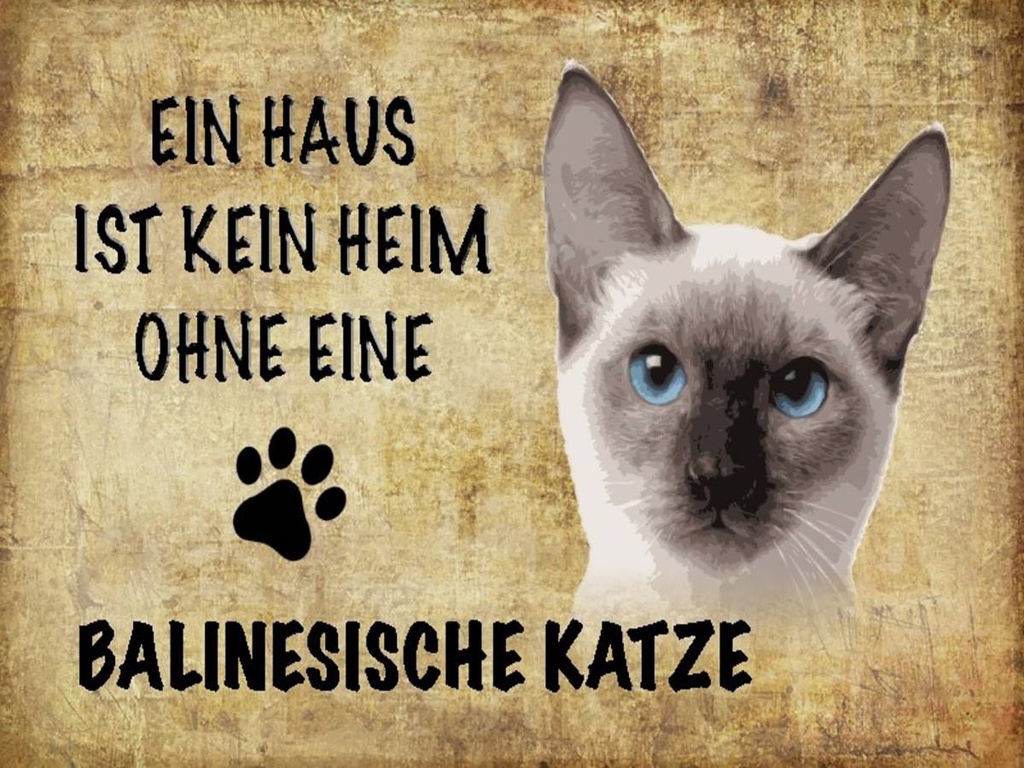 Holzschild 30x40 cm balinesische Katze