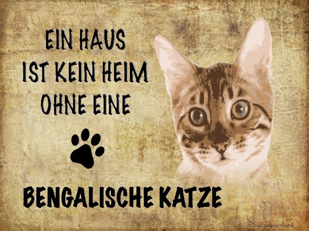 Holzschild 30x40 cm Bengalische Katze