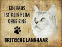 Holzschild 30x40 cm britische Langhaar Katze