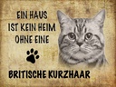 Holzschild 30x40 cm Britische Kurzhaar Katze