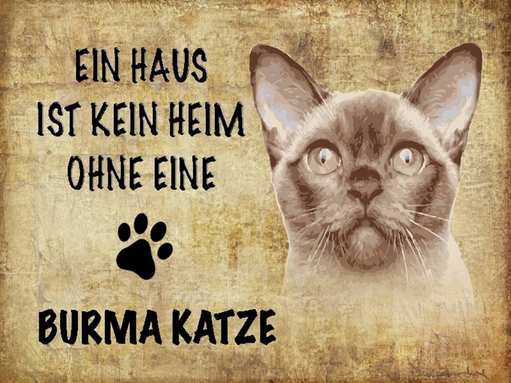 Holzschild 30x40 cm Burma Katze ohne kein Heim