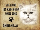 Holzschild 30x40 cm chinchilla Katze ohne kein Heim