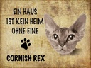 Holzschild 30x40 cm Cornish Rex Katze