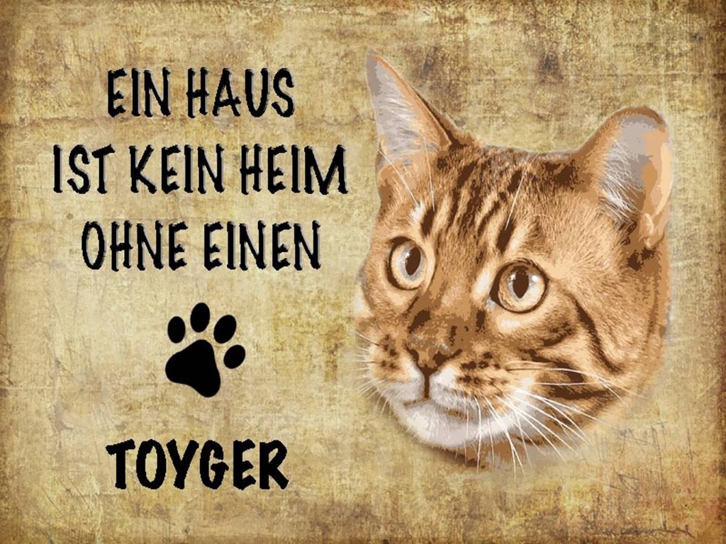 Holzschild 30x40 cm Toyger Katze ohne kein Heim