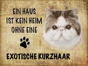 Holzschild 30x40 cm exotische Kurzhaar Katze