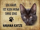 Holzschild 30x40 cm Havana Katze ohne kein Heim