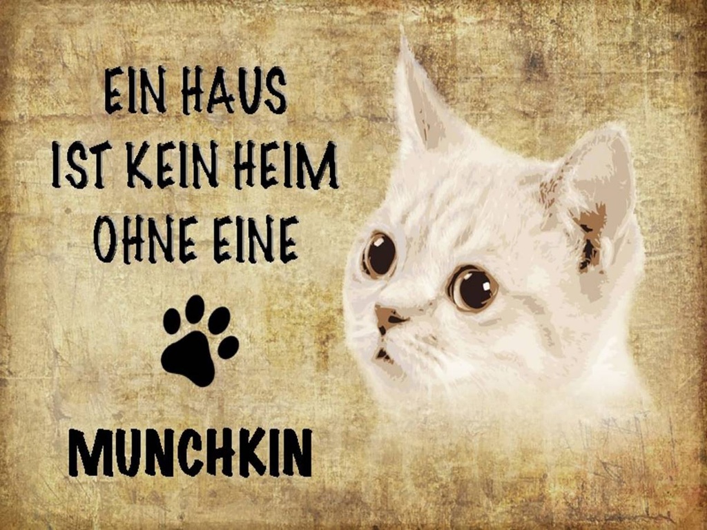 Holzschild 30x40 cm Munchkin Katze ohne kein Heim