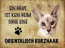 Holzschild 30x40 cm orientalisch Kurzhaar Katze
