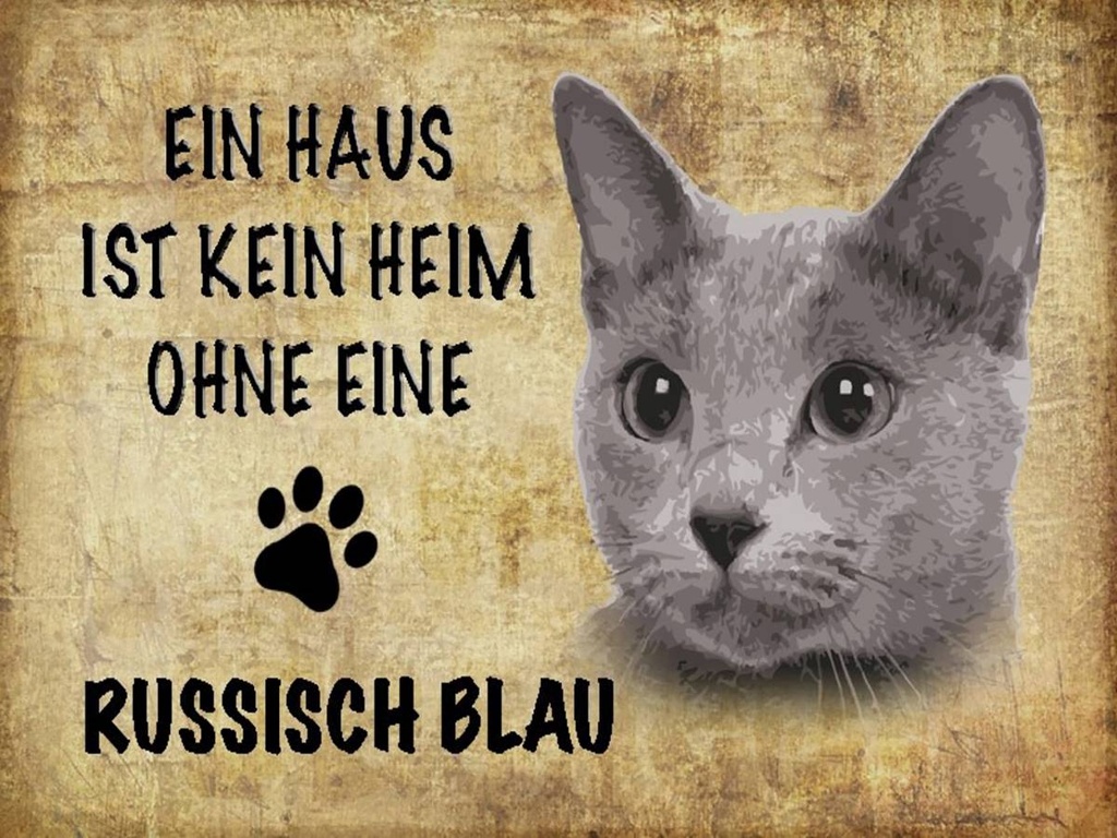 Holzschild 30x40 cm russisch blau Katze
