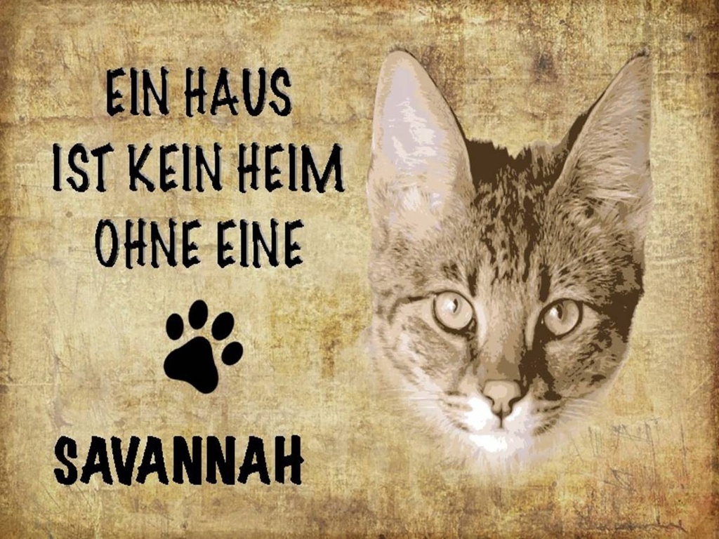 Holzschild 30x40 cm Savannah Katze ohne kein Heim