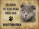 Holzschild 30x40 cm Scottish Fold Katze