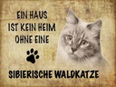 Holzschild 30x40 cm sibirische Waldkatze Katze