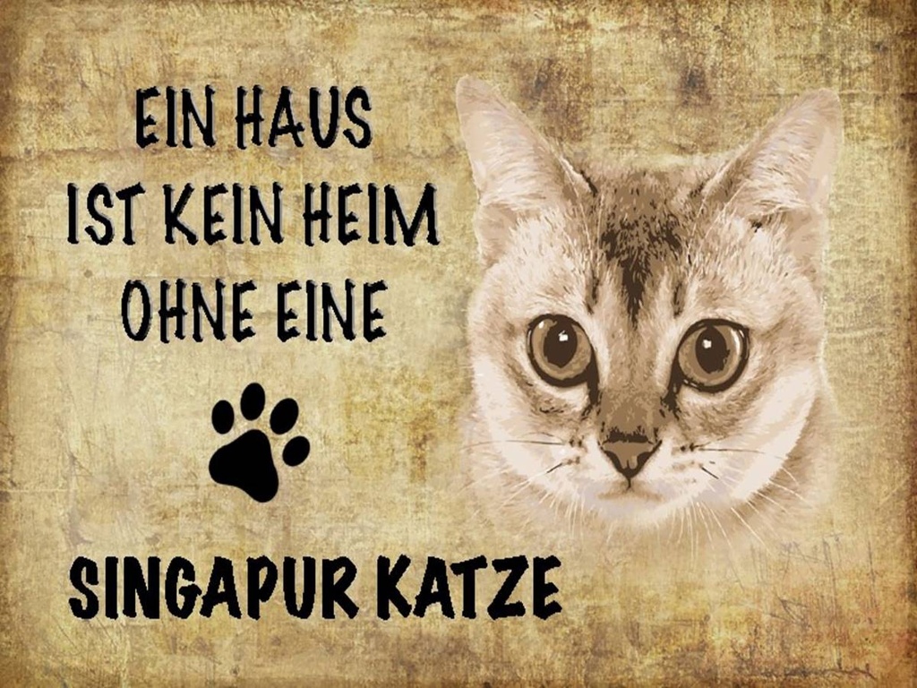 Holzschild 30x40 cm Singapur Katze ohne kein Heim